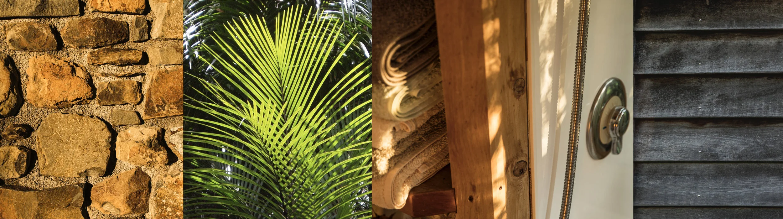 BBE Website Banners.001.jpeg