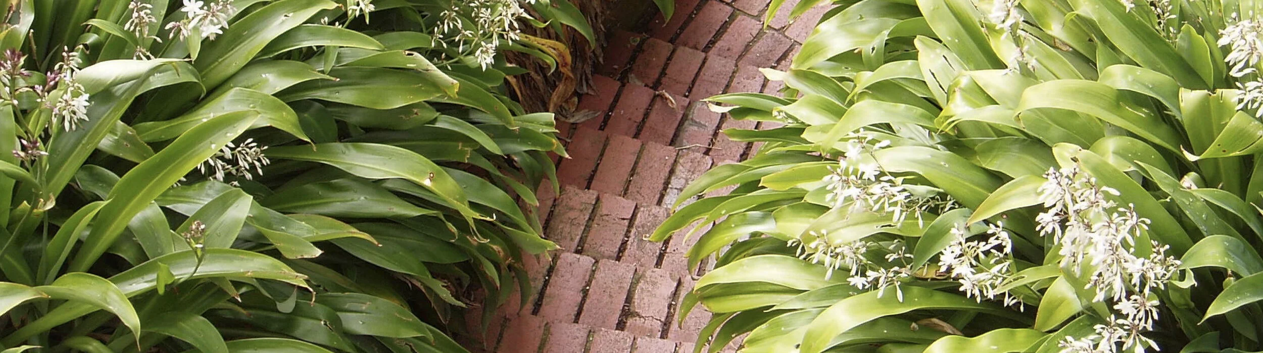 BBE Website Banners.007.jpeg