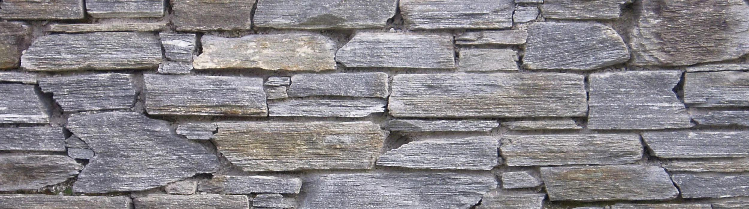 BBE Website Banners.008.jpeg