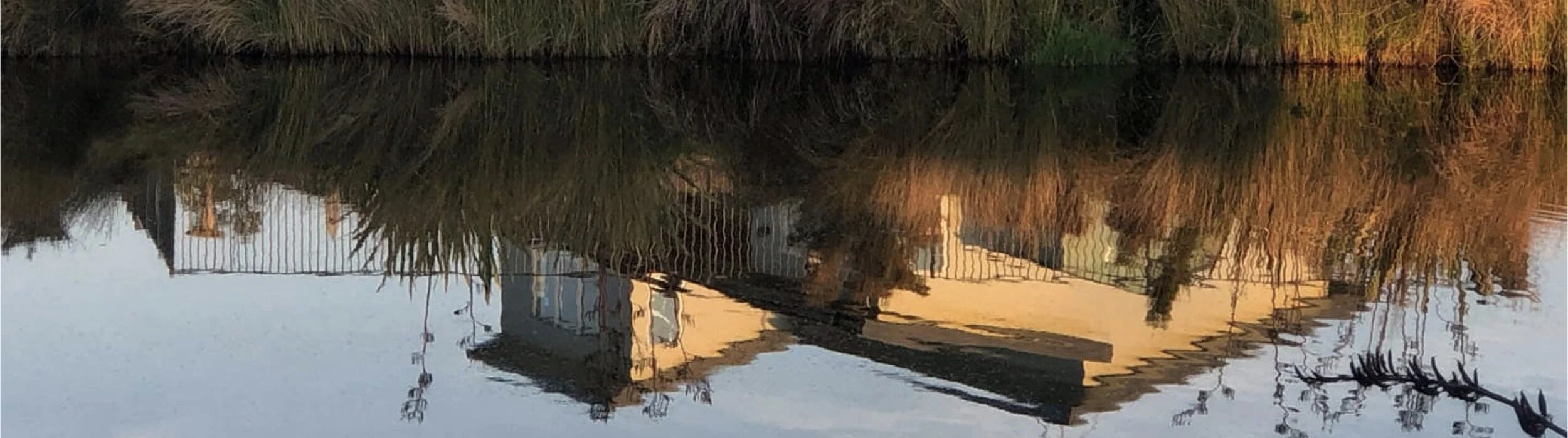 BBE Website Banners.010.jpeg