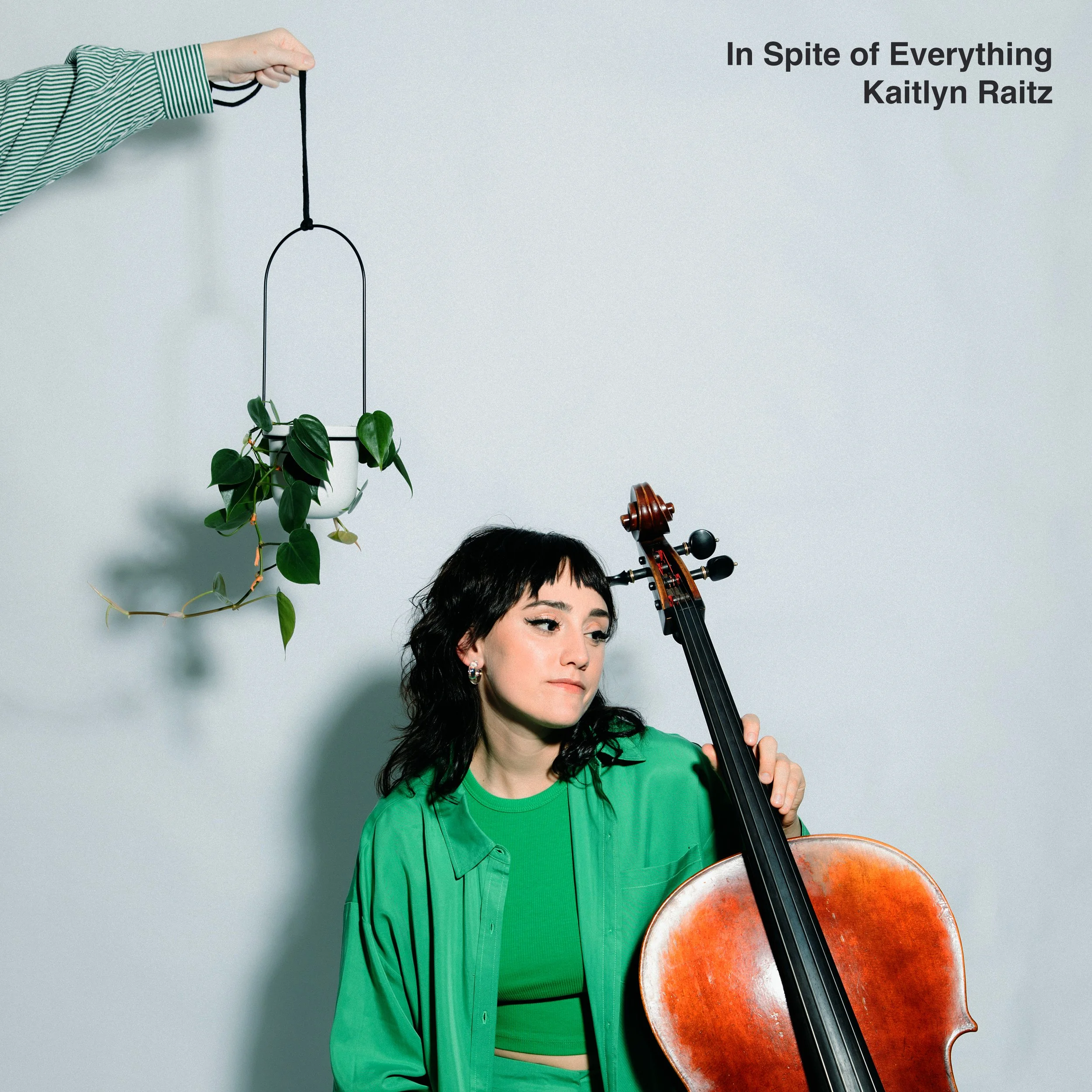 New album, In Spite of Everything, is out now