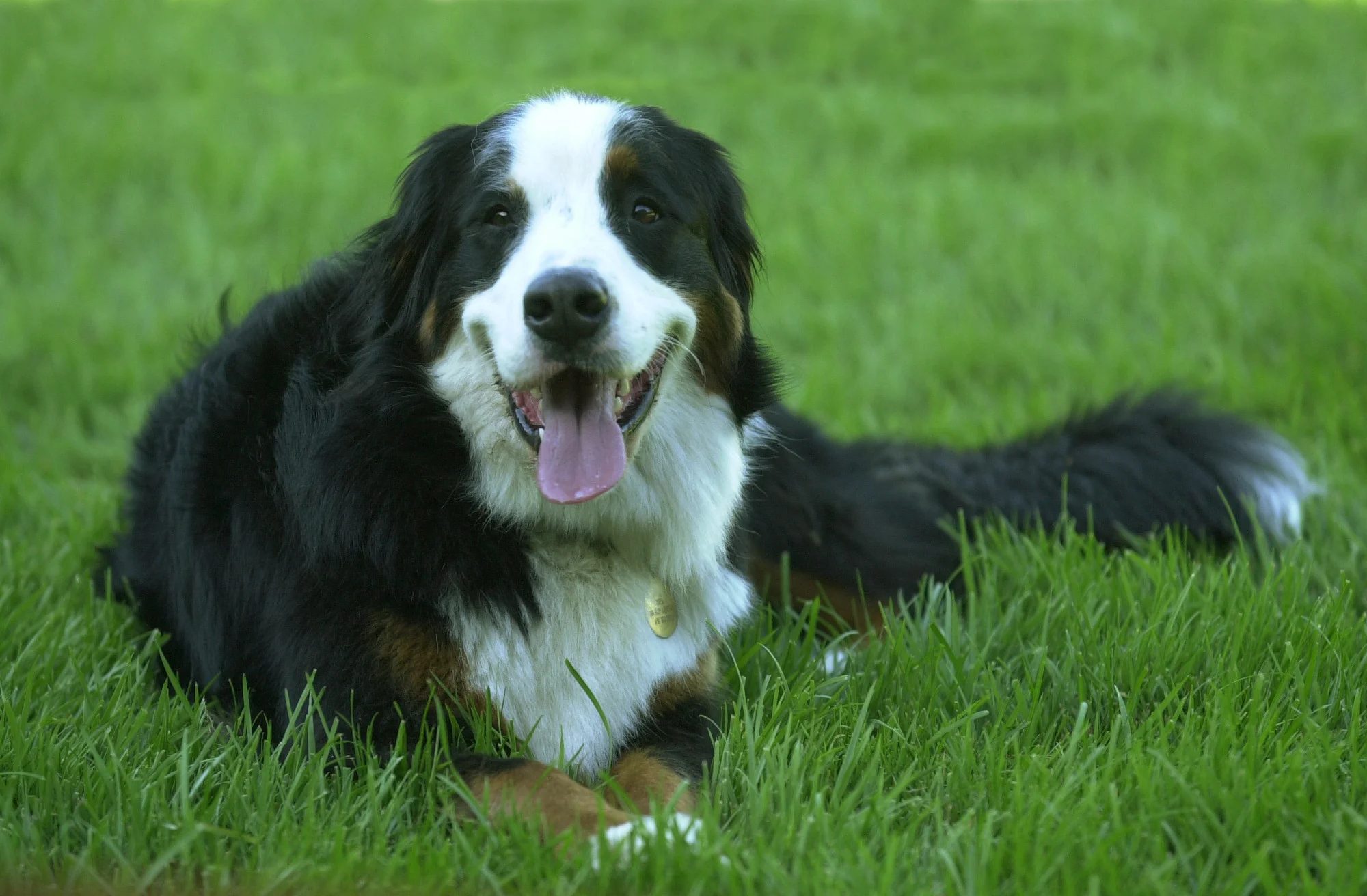 woof32.JPG