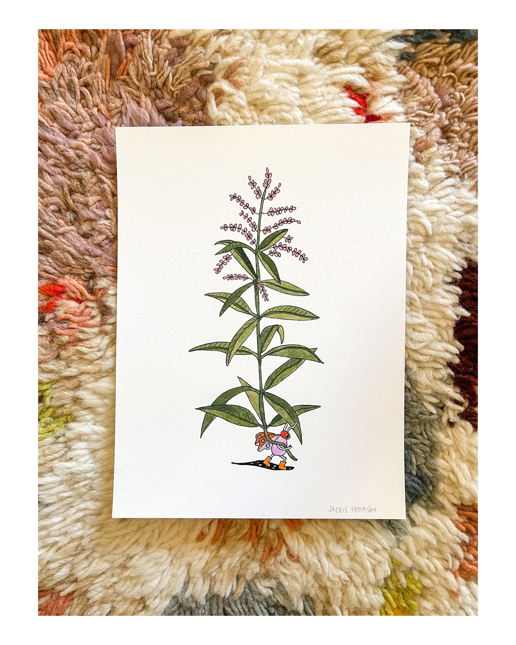 Jackie Thomson Verbena Bug Print 2.JPG