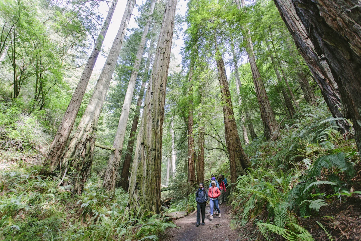 TrailMavens_Preview_JB_1381.jpg
