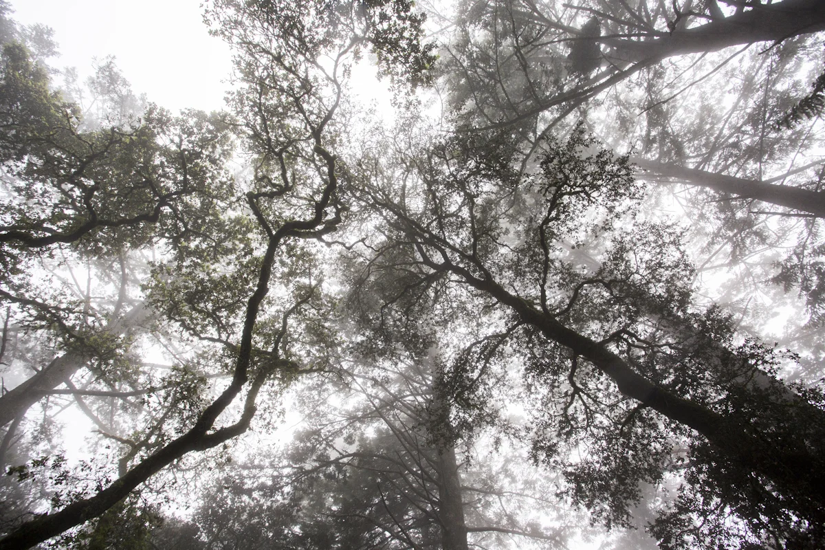 TrailMavens_Preview_JB_1519.jpg