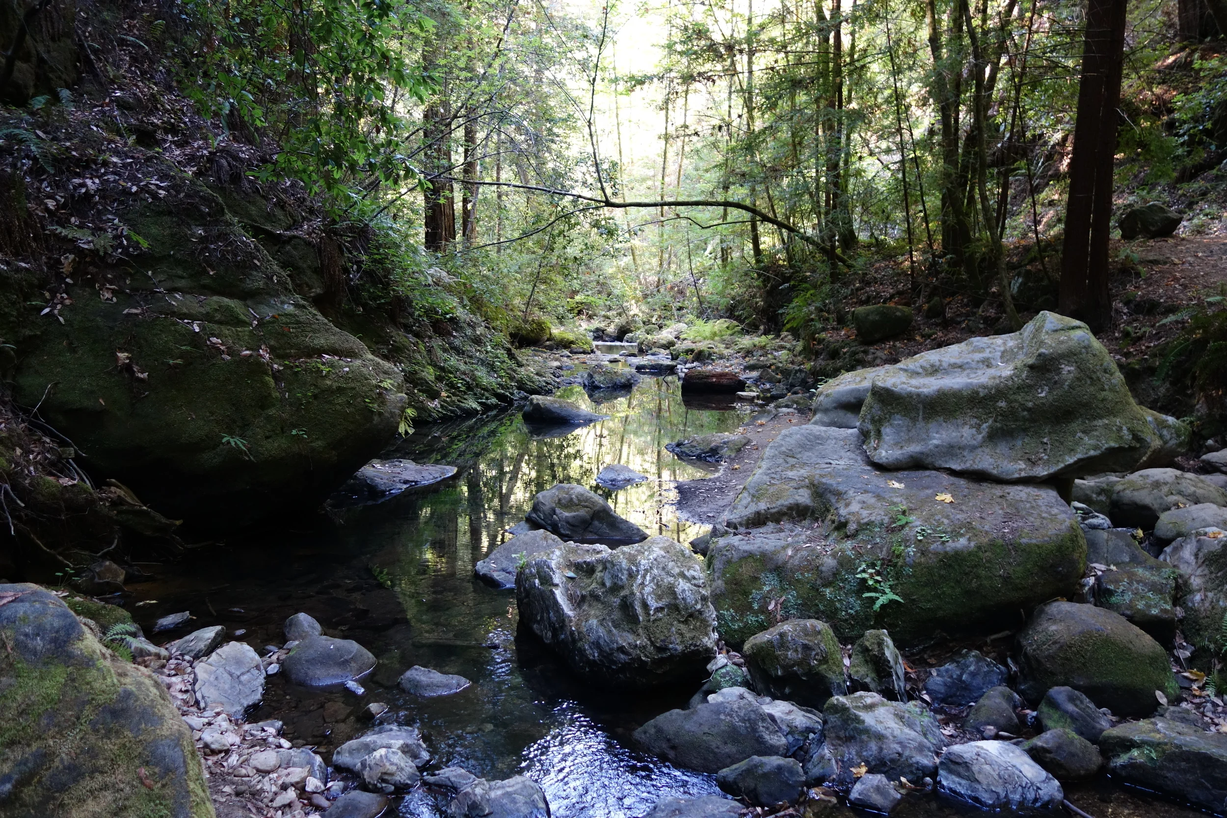 Trip Recap: Skyline to the Sea