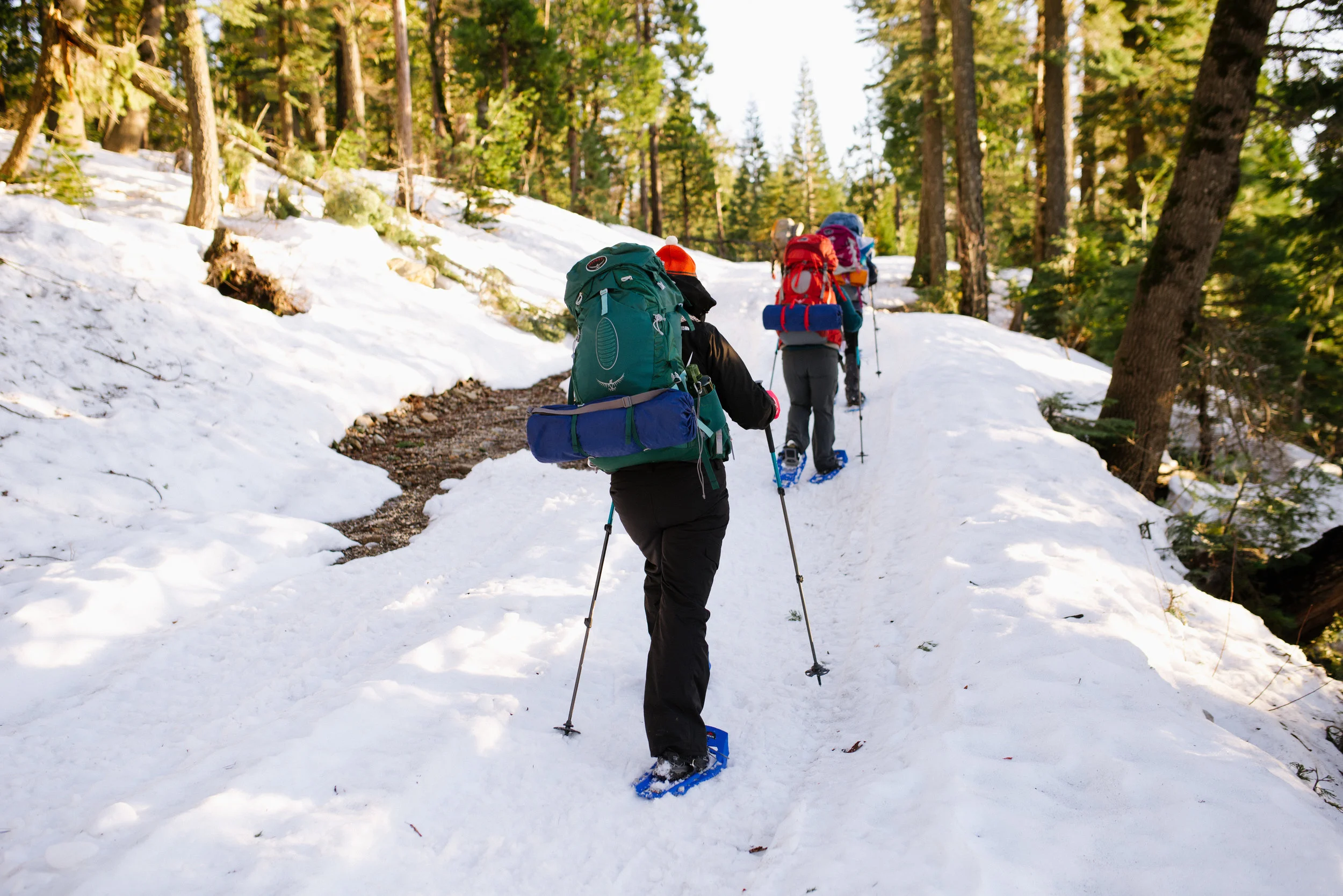 SnowshoeingTrailMavens_2017-30.jpg