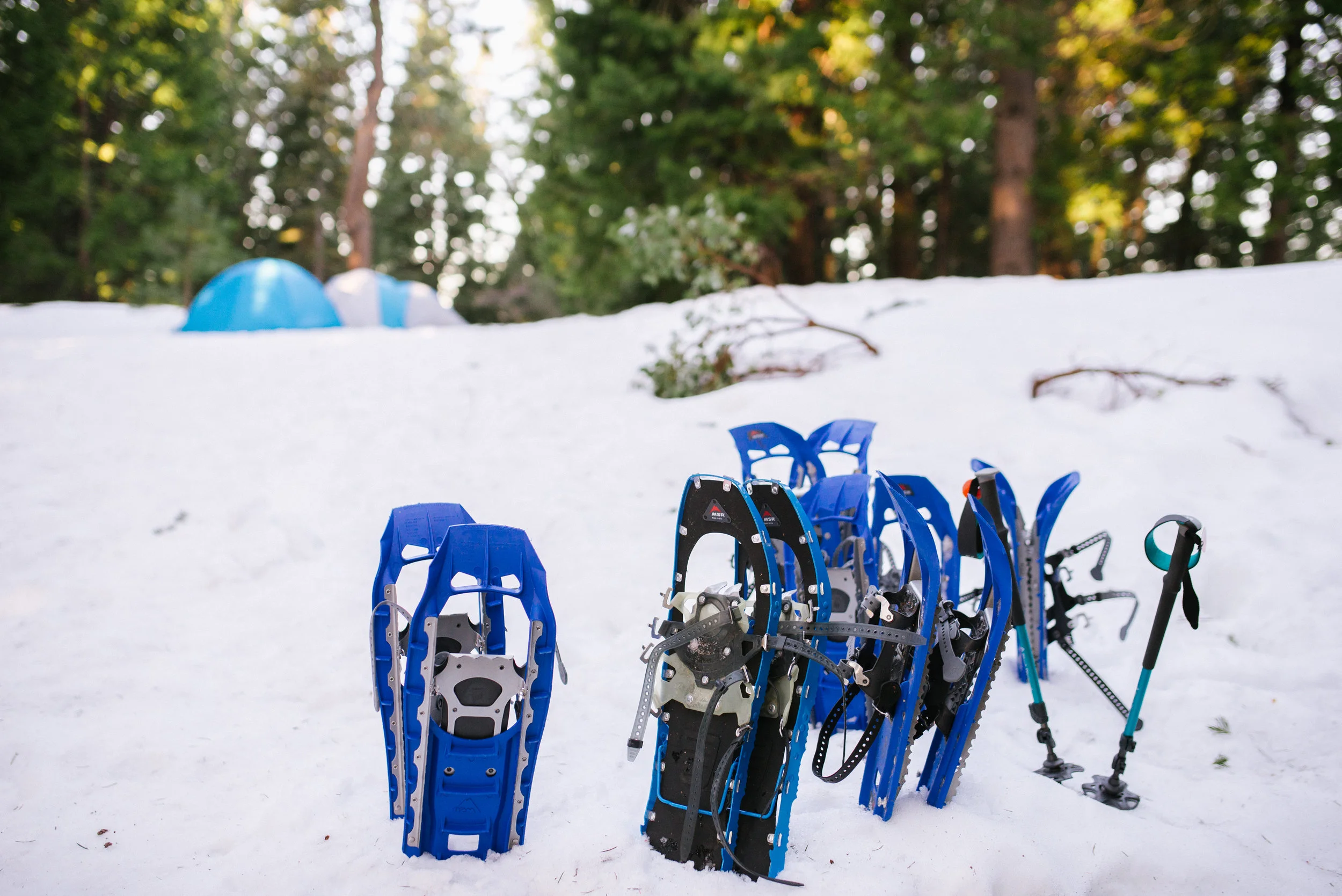 SnowshoeingTrailMavens_2017-58.jpg