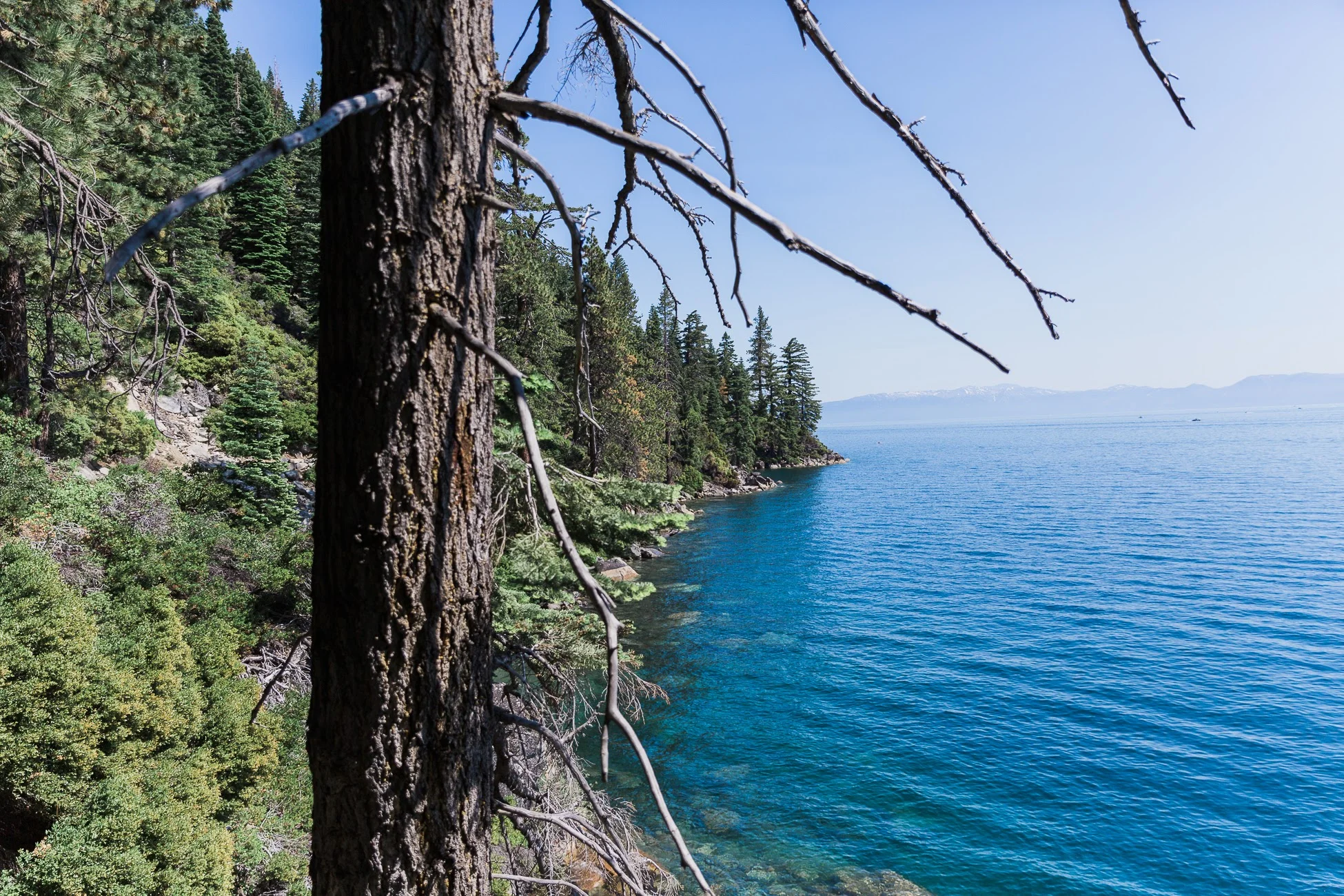 0114-Tahoe-TrailMavens-07012017-Final.jpg