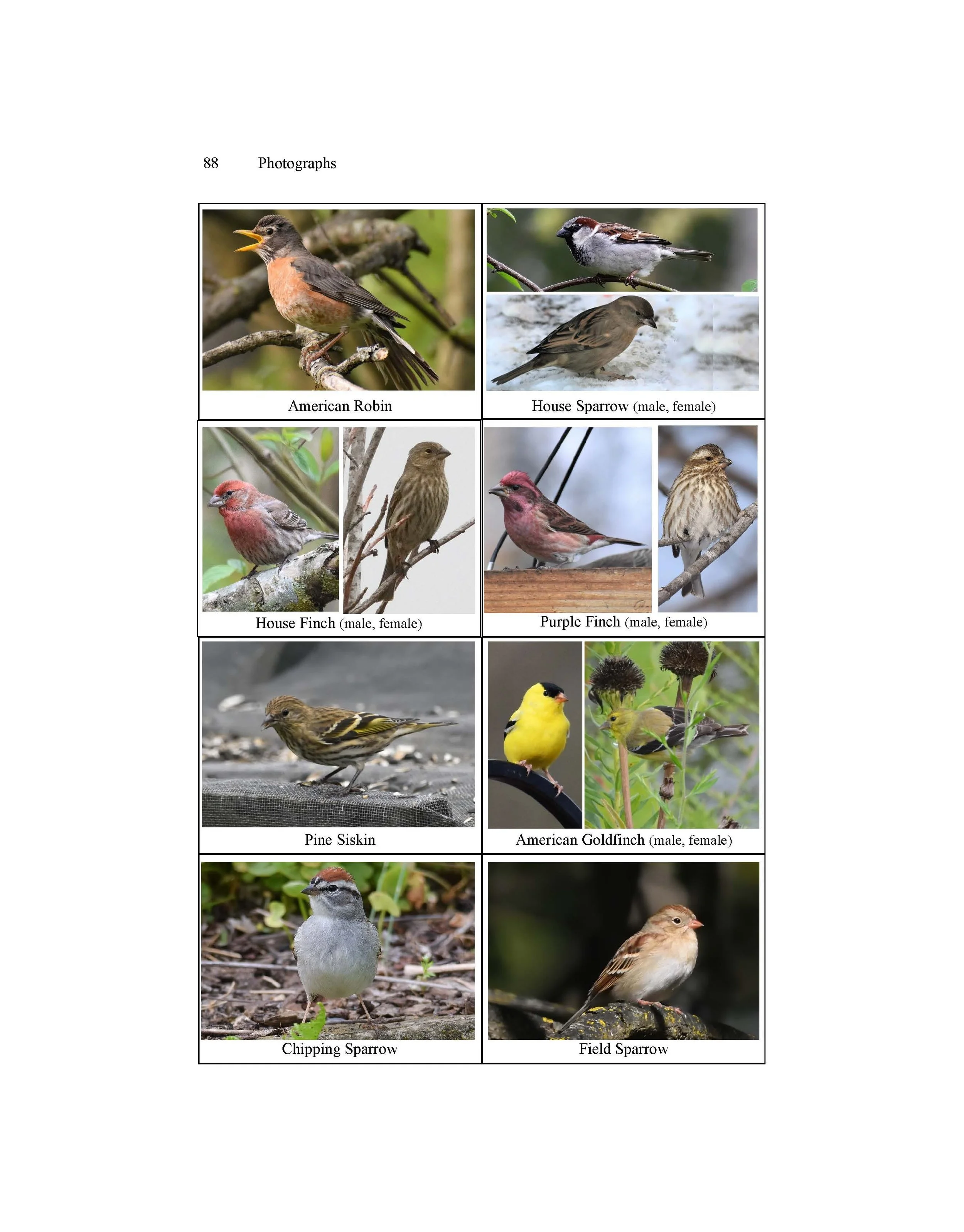 Birds of the Lehigh Valley and Vicinity Third Edition-Photos.jpg