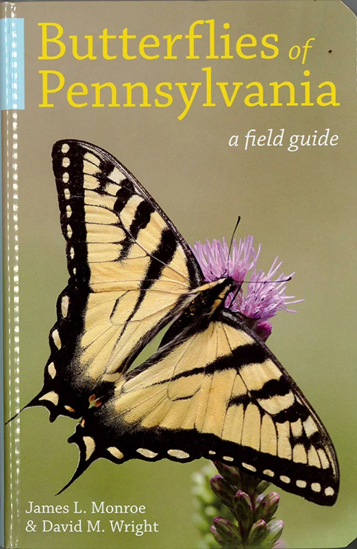 Butterflies of Pennsylvania — Lehigh Valley Audubon Society