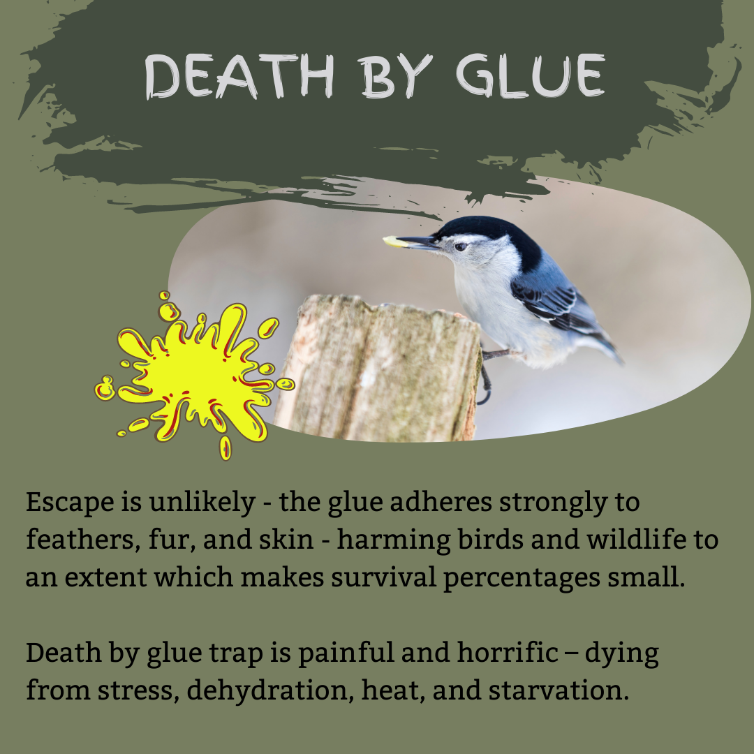 3_DeathByGlue.png