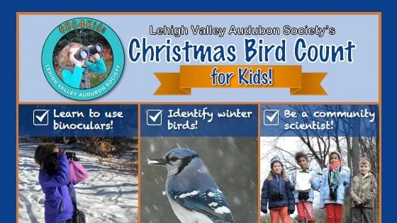 Registration Open Now for CBC4Kids on January 10th