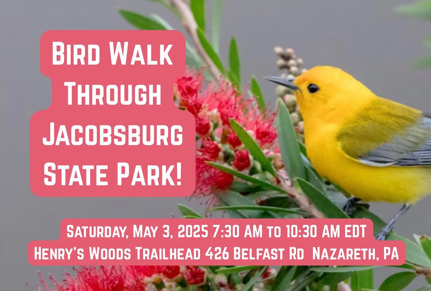 🌺 Please join us for a bird walk through Jacobsburg State Park, a favorite location for many birds in a variety of habitats. Meet at the Henry&rsquo;s Woods parking lot at the park.

Leader: Michael Schall (610-737-5275)

#lvas #lehighvalleyaudubons