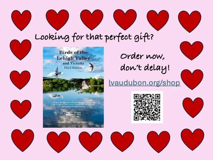 Perfect Valentine's Gift for Bird Lovers: Birds of the Lehigh Valley and Vicinity