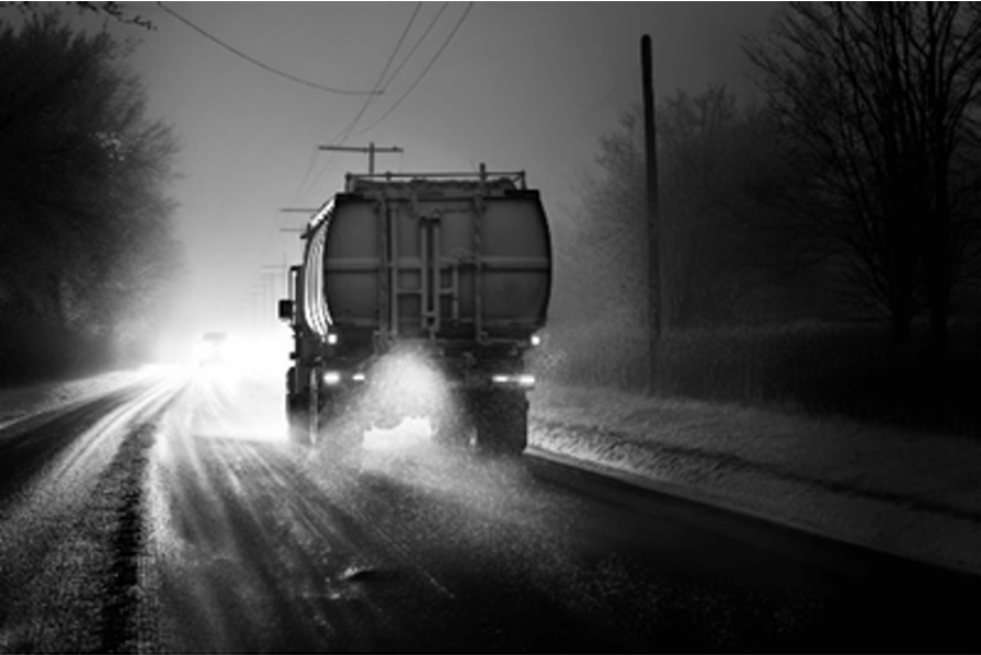 Impacts of Road Salt on Birds and Other Wildlife — Lehigh Valley ...
