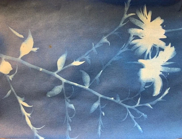 Sun print