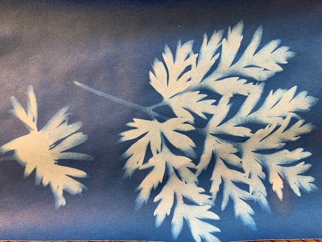 Sun print