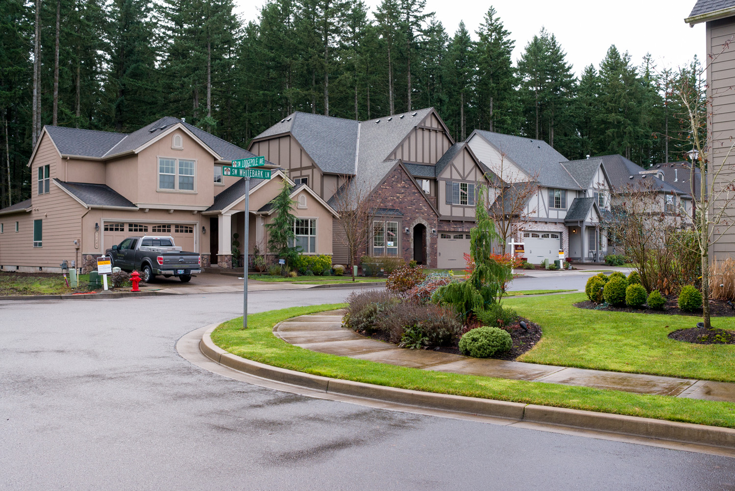 Lodgepole and Whitebark, Tualatin