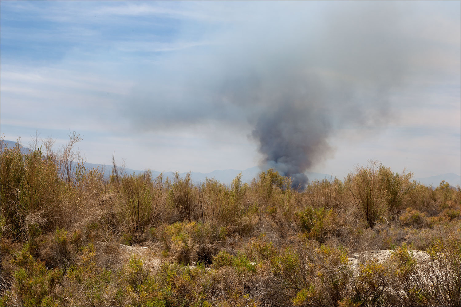 Fire, Looking Towards 100 Palms