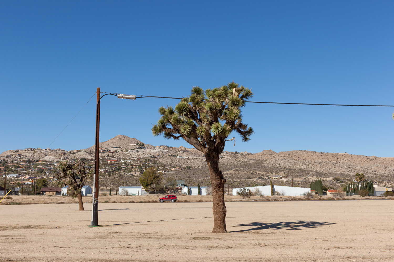 Joshua Tree, Yucca Valley