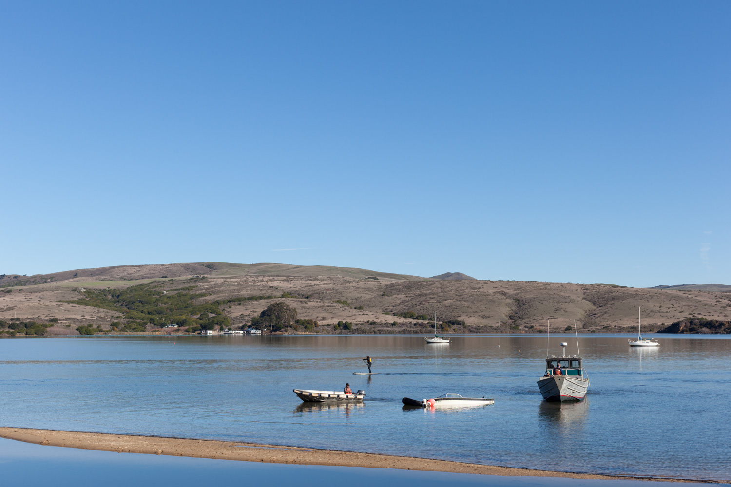 Salvage, Tomales Bay.