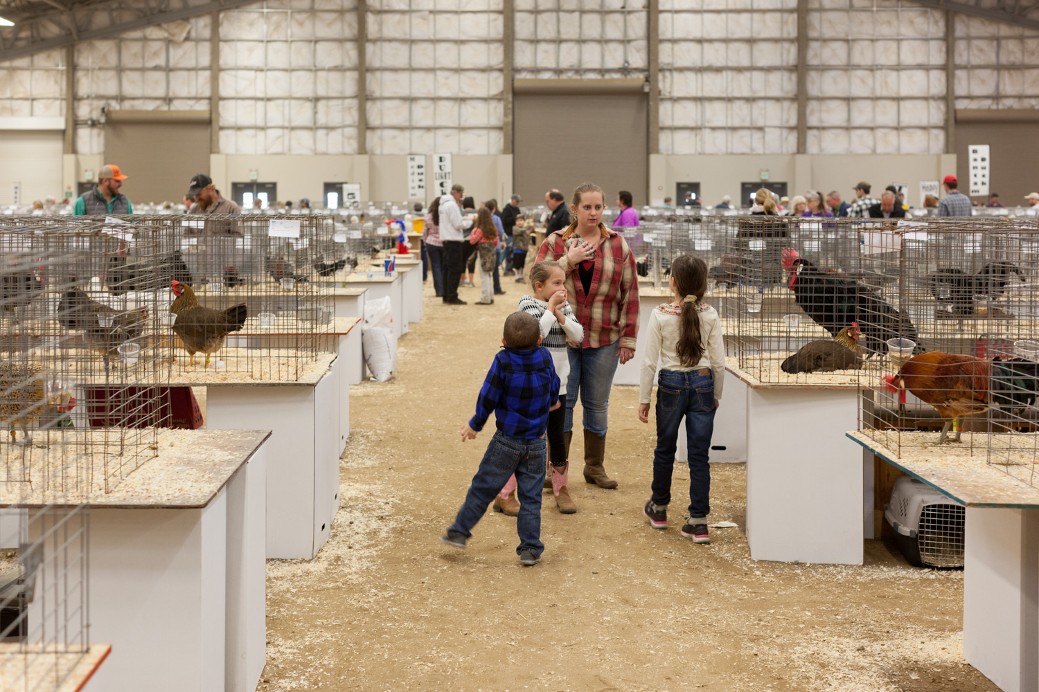 Pacific Poultry Breeders Show, Modesto