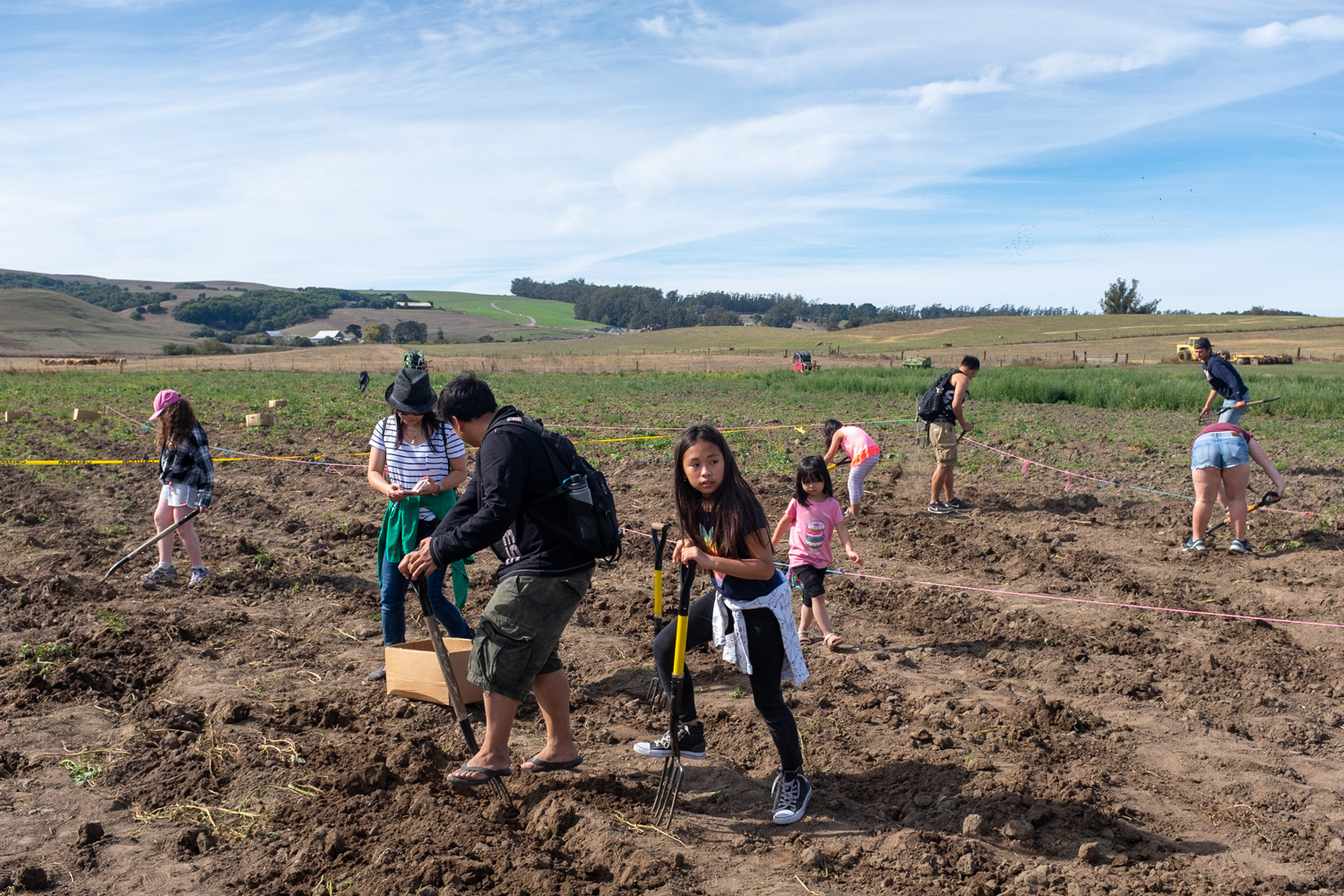 Gleaners, Petaluma.