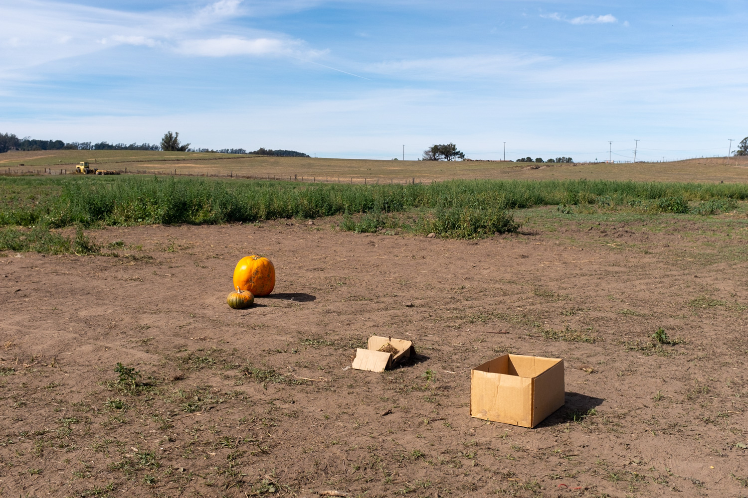 Farm, Petaluma.