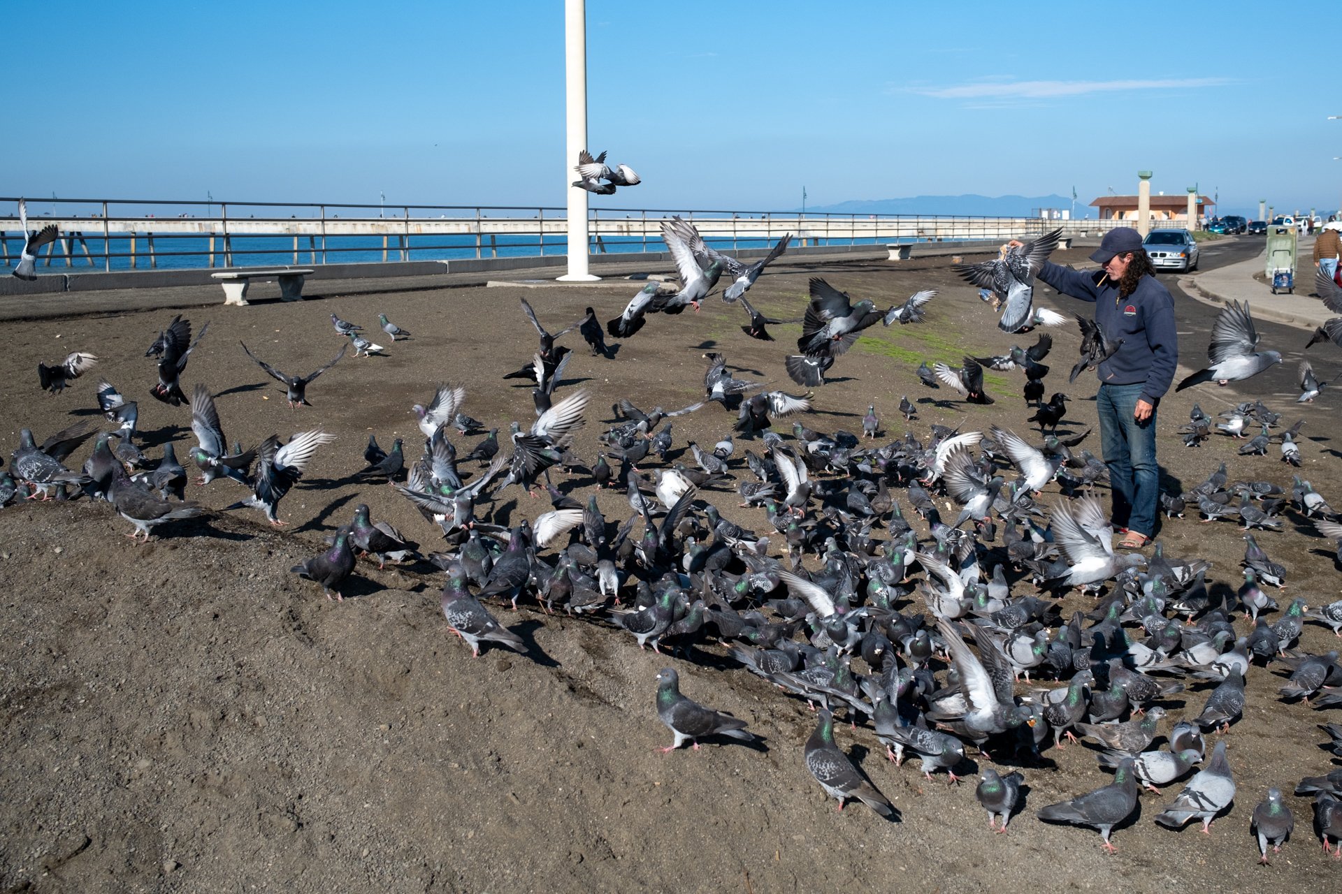 Breakfast, Pacifica.