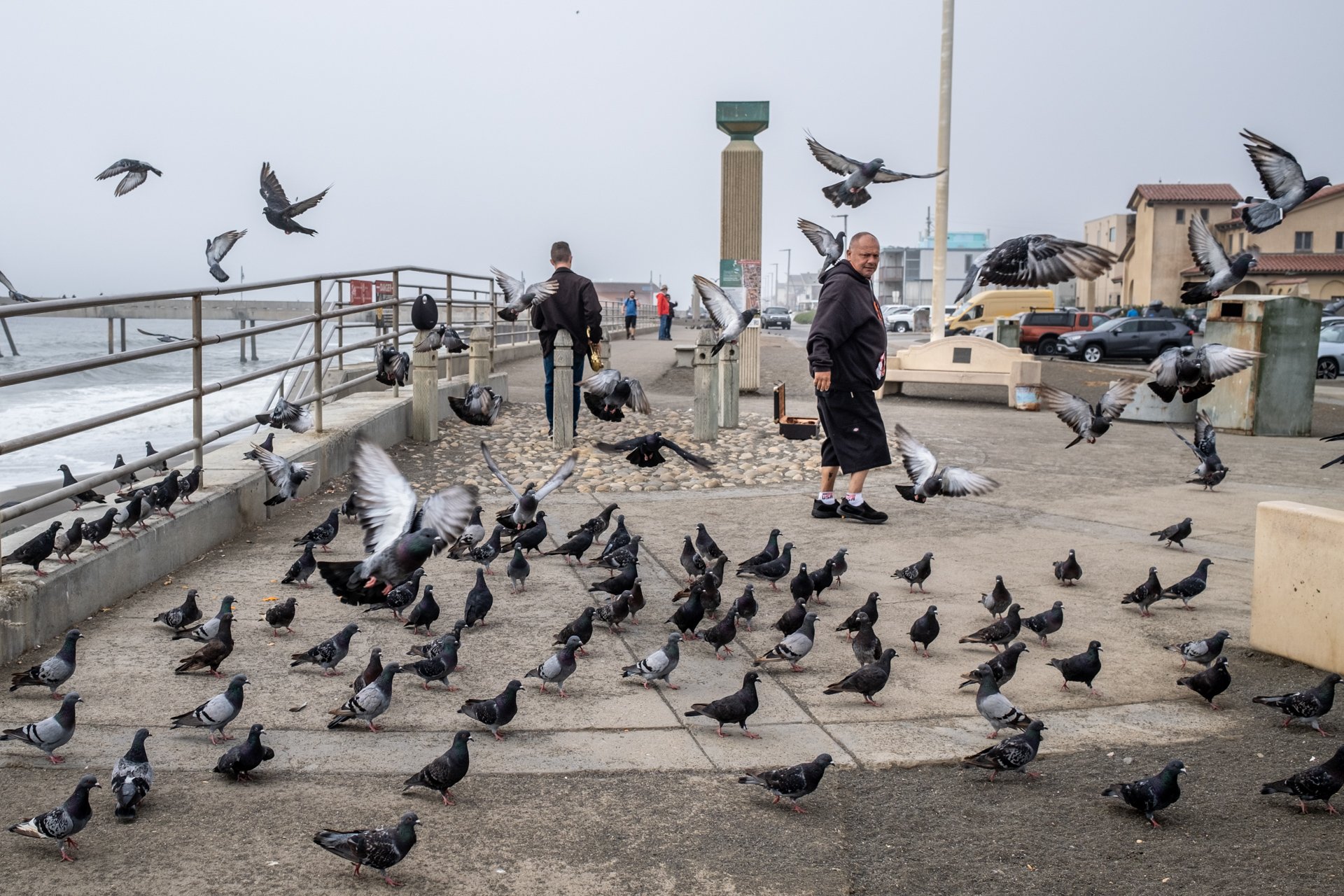 The Other Bird Guy, Pacifica. 2022