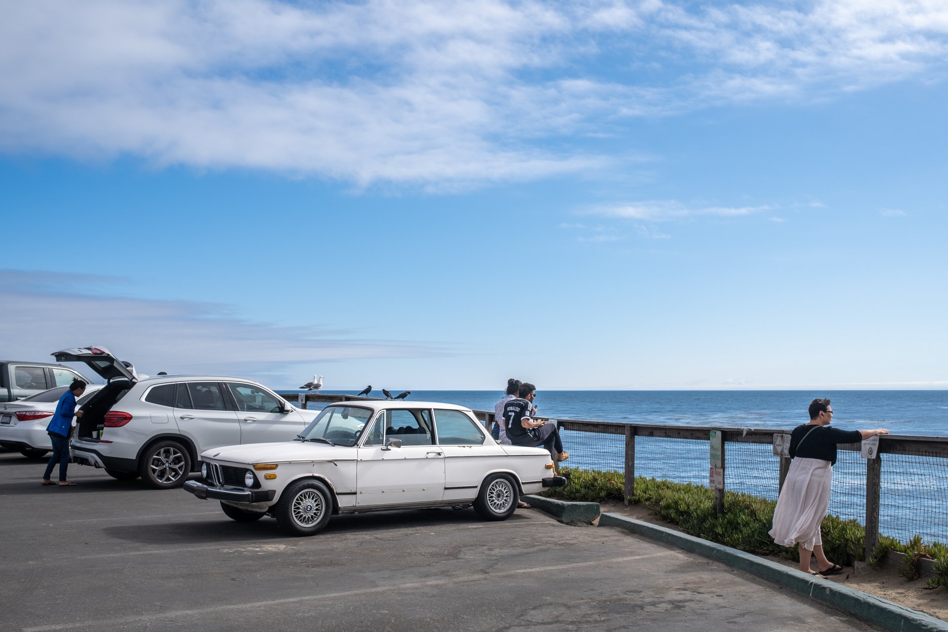 Natural Bridges, Santa Cruz. 2022