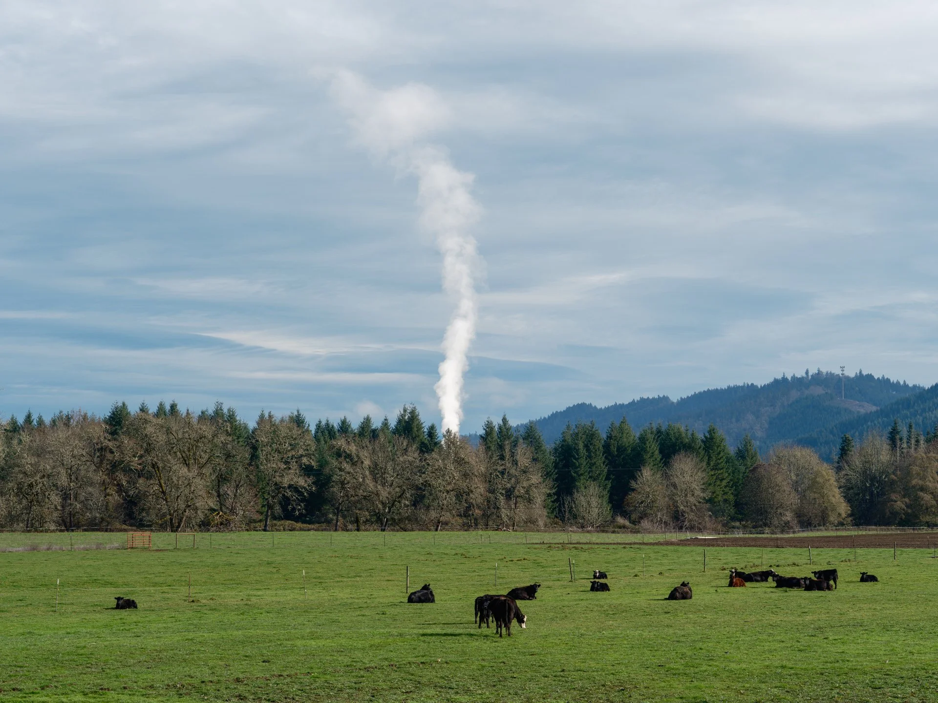 Stearns Lane near Oakland, Oregon