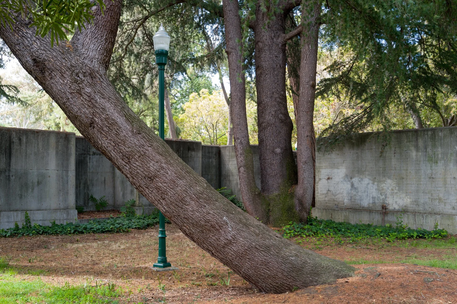 Bomb Shelters, Mare Island