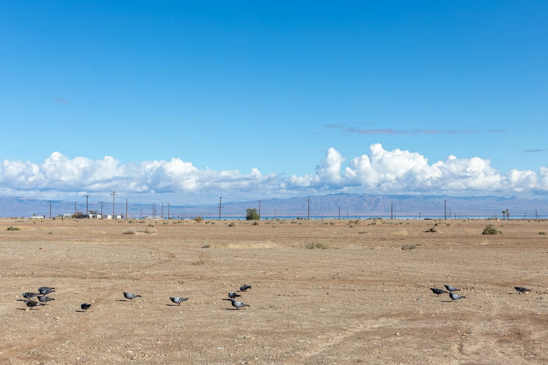 Salton City, California