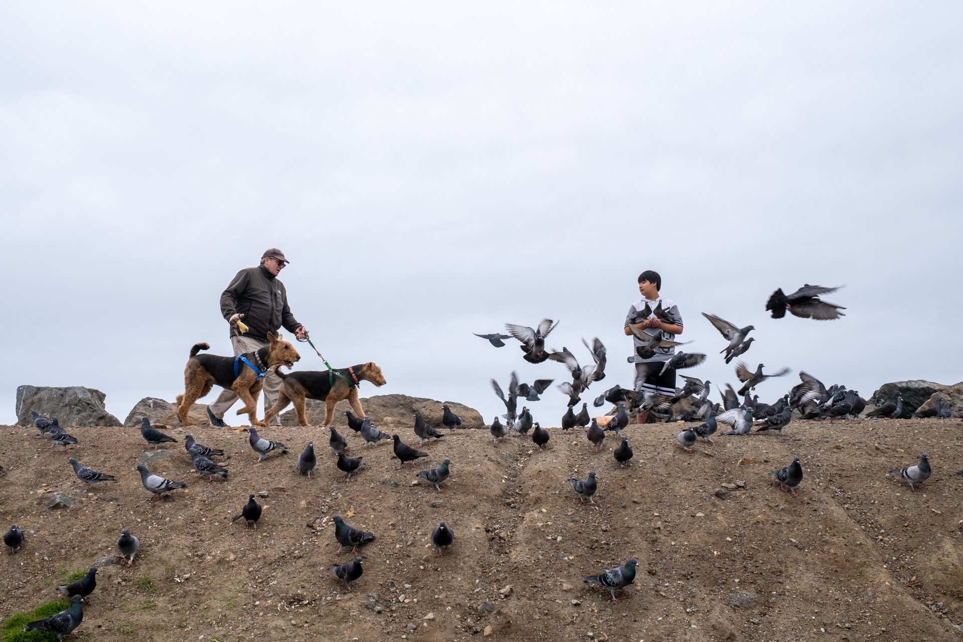 Boxing Day, Pacifica, California
