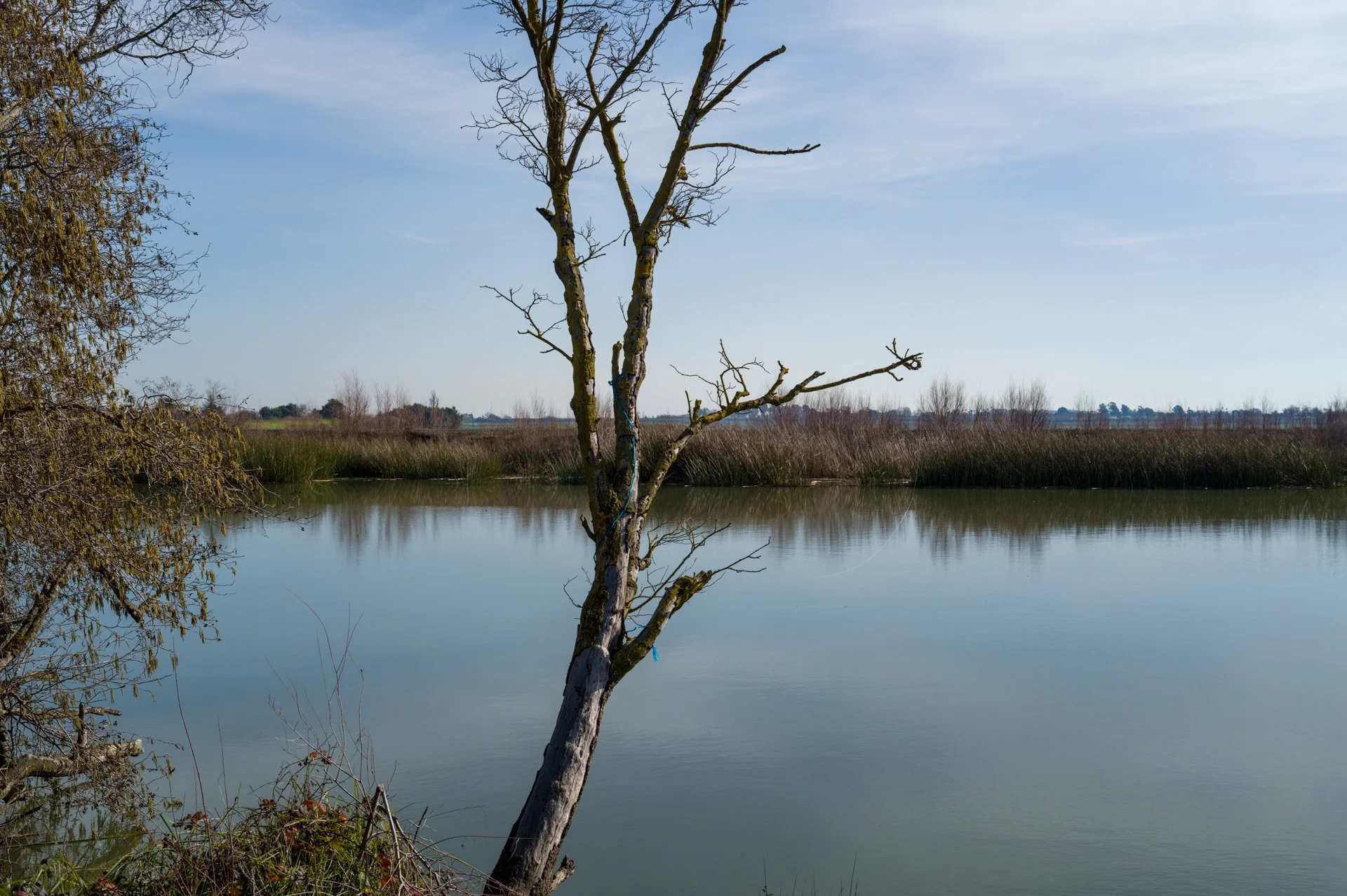 Georgiana Slough near Isleton, California