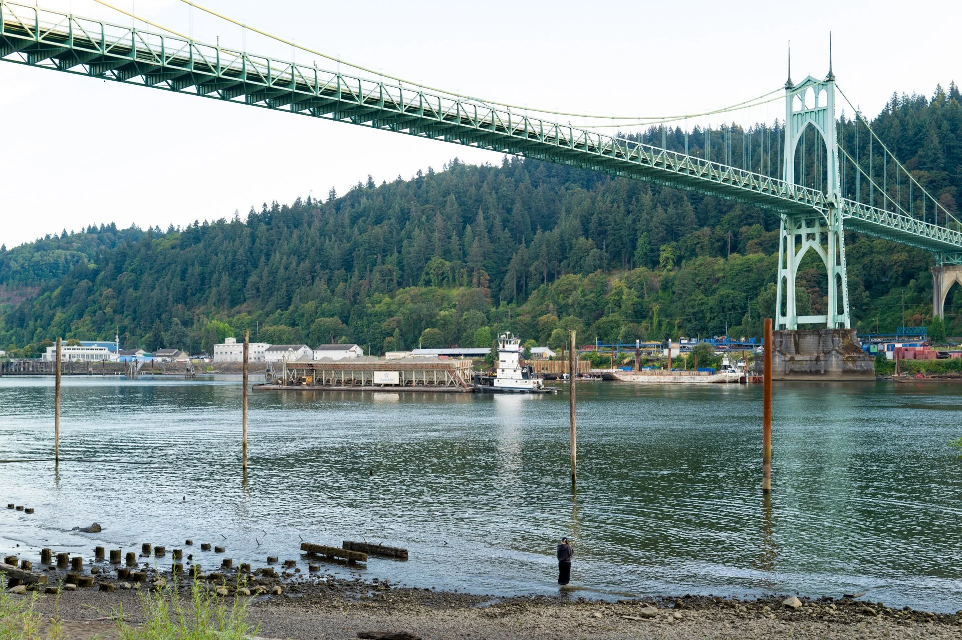 St Johns Bridge from Cathedral Park, Portland Oregon