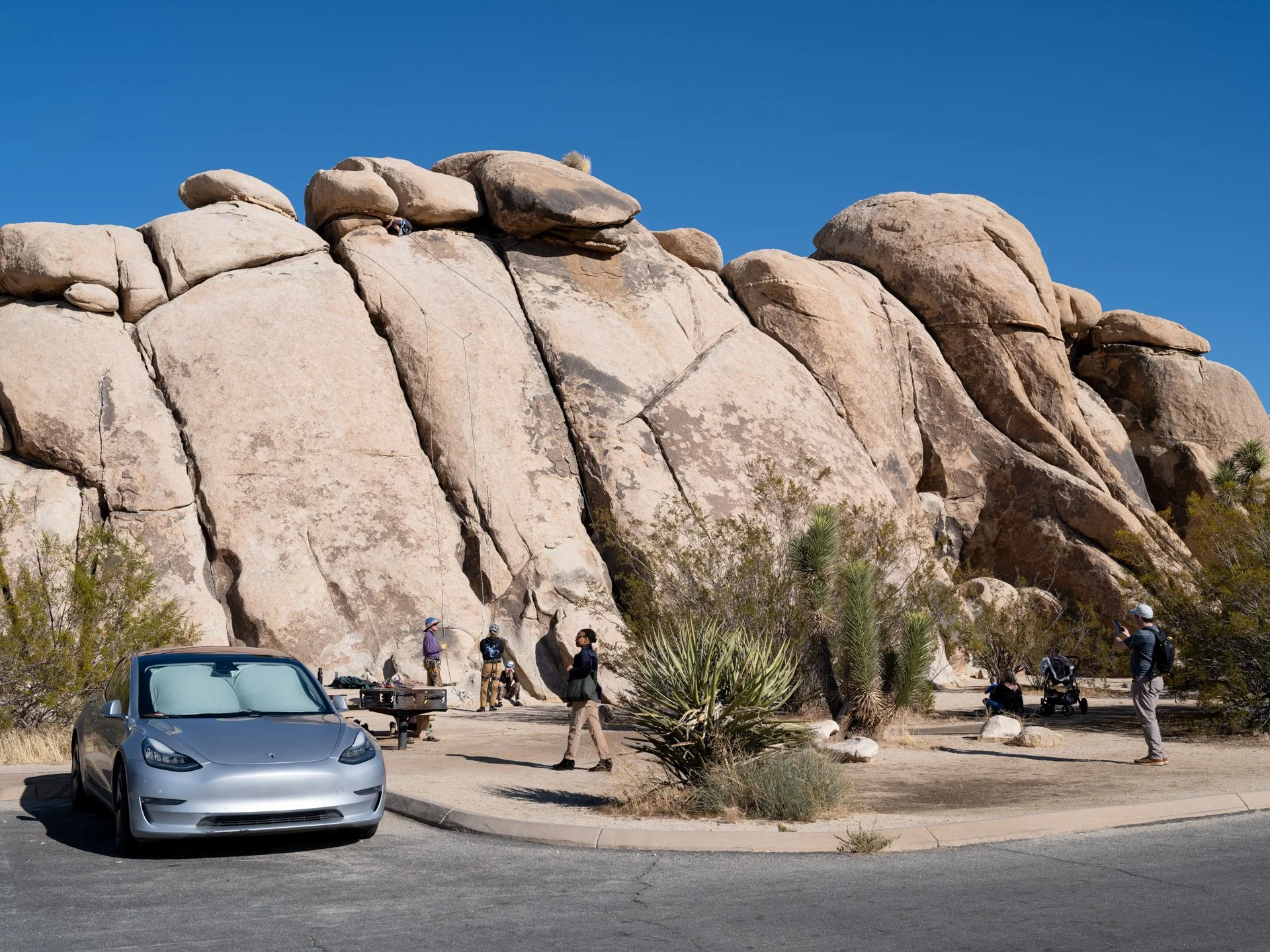 Joshua Tree