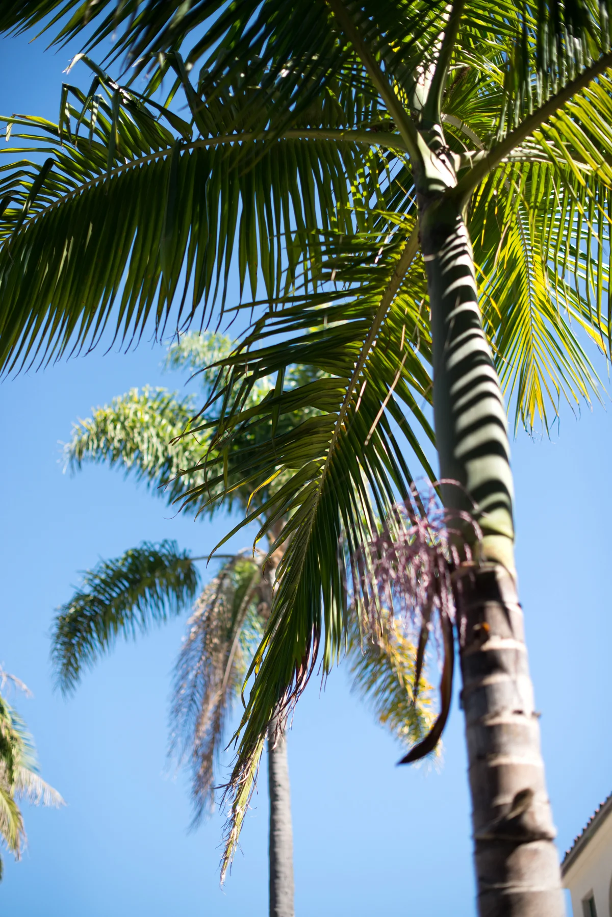 TD_web_DSC_1532.jpg