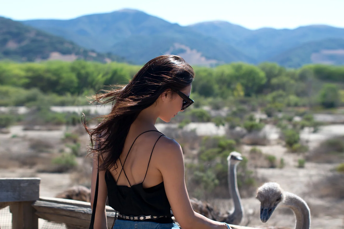 Travel Diary: Santa Barbara Part 2