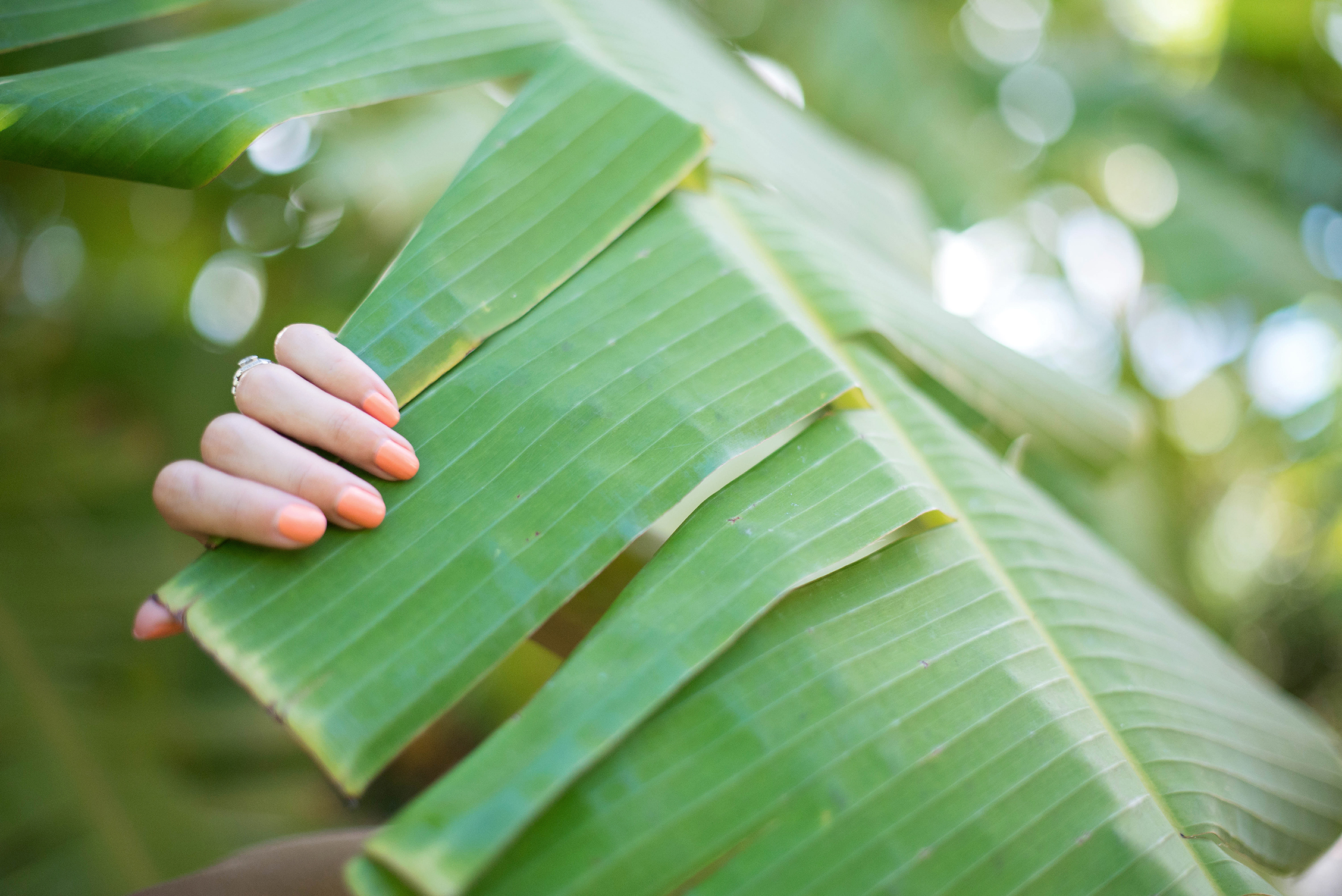 Palm Frond Plant and Summer Nail polish