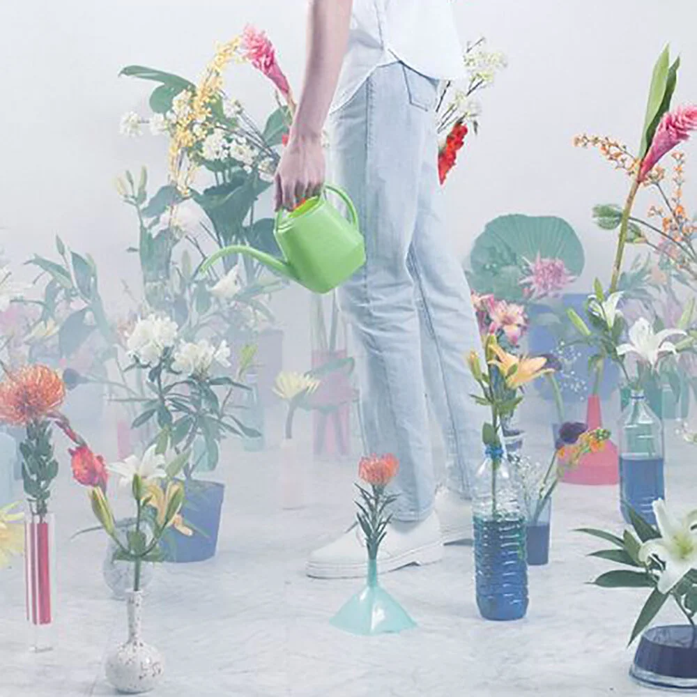 Make Your Home More Environmentally Friendly