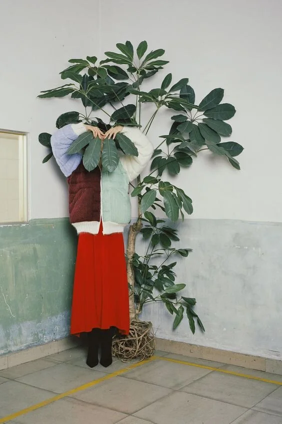 4 Mistakes You Might Be Making With Indoor Plants