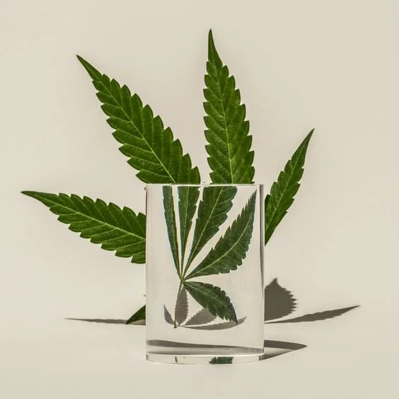 Broad Spectrum Vs. Full Spectrum: What's Ideal For You