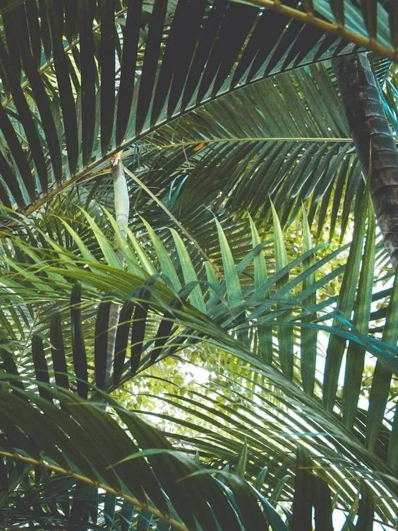 Plan Ahead: Your Next Getaway