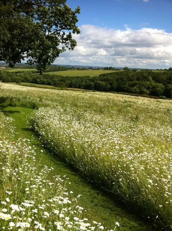 Study-Backed Everyday Ways To Boost Mental Health