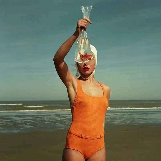 Reducing Carbon Footprints In and Out Of The Home