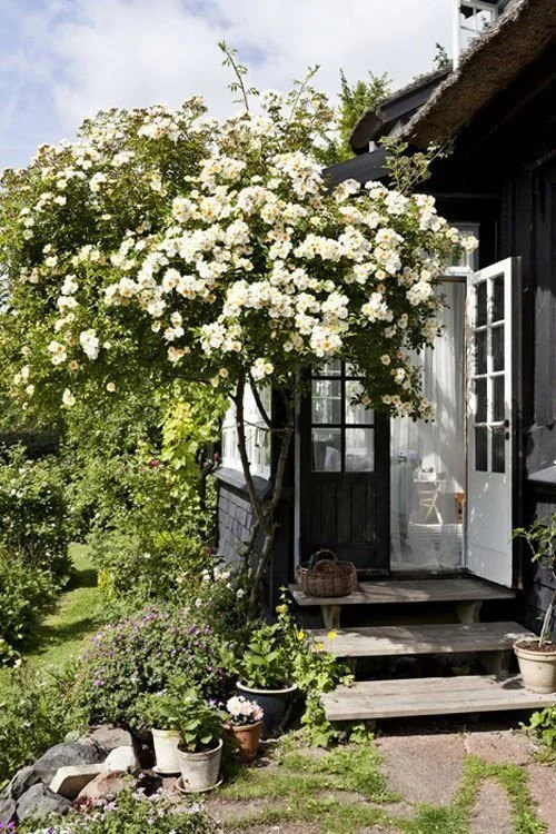 Summer Checklist - Maintenance Edition