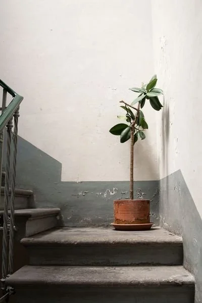 4 Simple Tips from the Experts for Adding Comfort and Style to Any Home